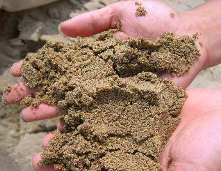 沙子為什么不適合植物的生長